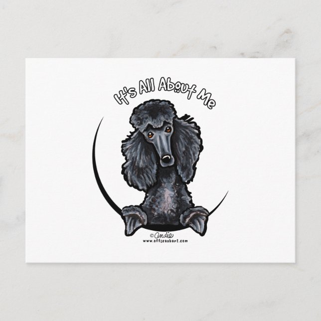 Cartão Postal Black Standard Poodle IAAM (Frente)