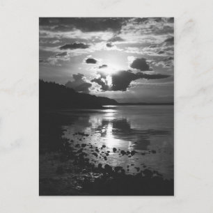 Cartão Postal Black Sunset Postcard