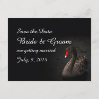 Cartão Postal Black Swan Save the Date