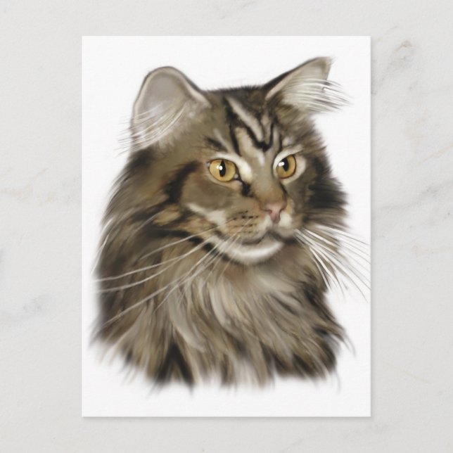 Cartão Postal Black Tabby Maine Coon Cat (Frente)