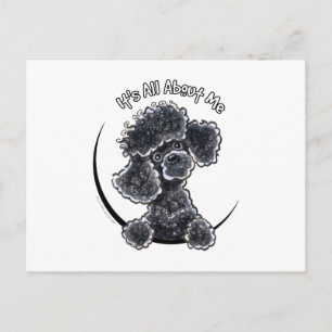 Cartão Postal Black Toy Poodle IAAM