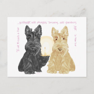 Cartão Postal Black & Wheaten Boas Noites Scotties