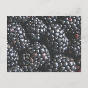 Cartão Postal Blackberries