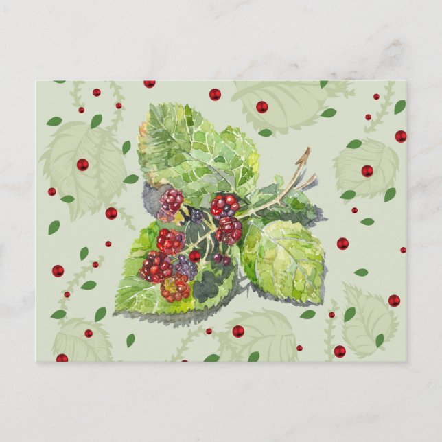 Cartão Postal BlackBerry (Frente)