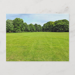 Cartão Postal Blackweir Fields, Bute Park, Cardiff, Wales.