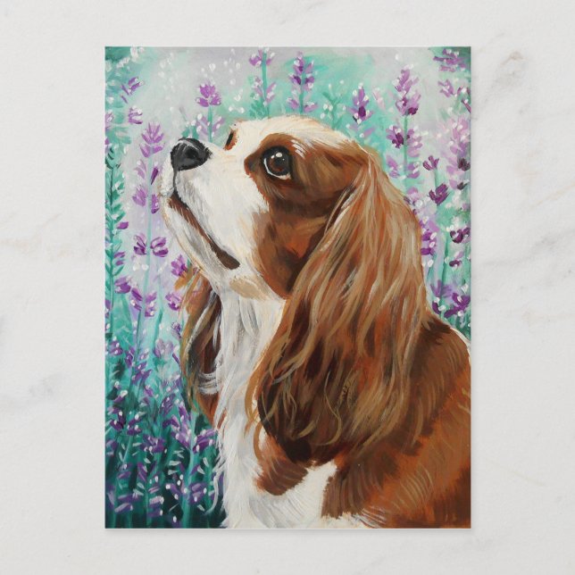Cartão Postal Blenheim Cavalier King Charles Spaniel (Frente)