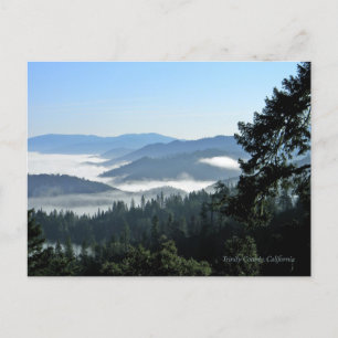 Cartão Postal Bliss de primavera da manhã...