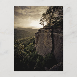 Cartão Postal Bliss e ReUnion