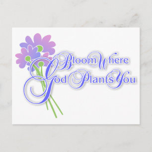 Cartão Postal Blogue Onde Deus Te Estimula 2