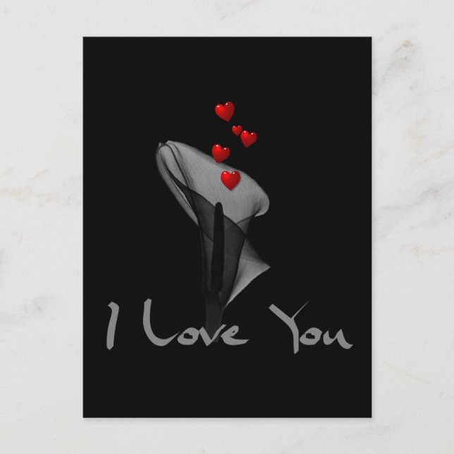 Cartão Postal Blood Lily (Frente)