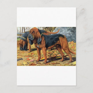 Cartão Postal Bloodhound