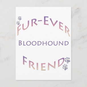 Cartão Postal Bloodhound Fuere