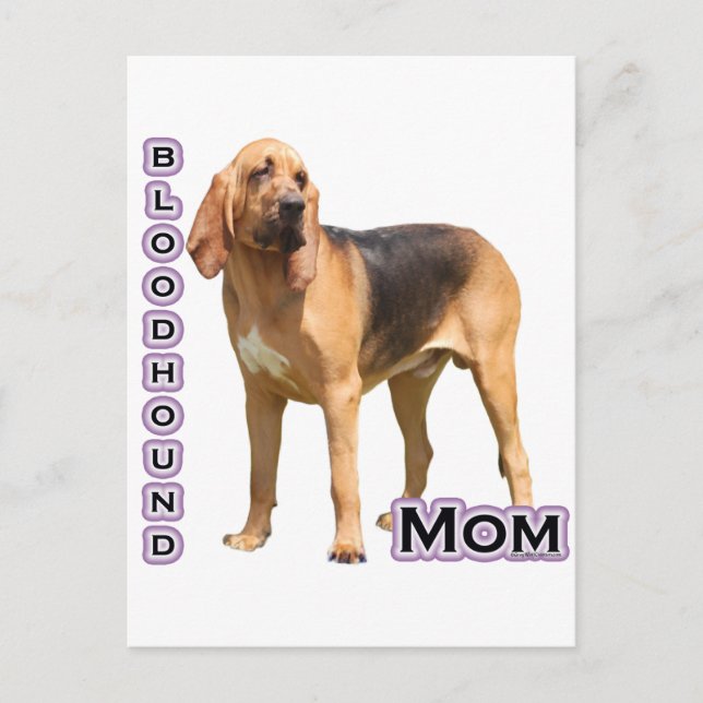 Cartão Postal Bloodhound Mãe 4 (Frente)