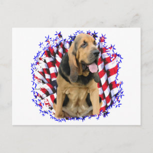 Cartão Postal Bloodhound Patriot