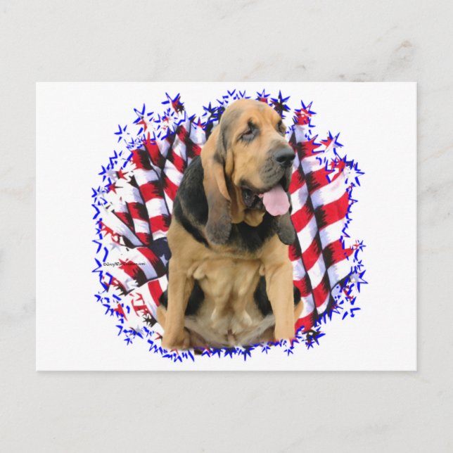 Cartão Postal Bloodhound Patriot (Frente)