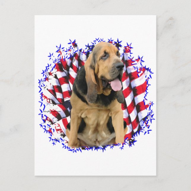 Cartão Postal Bloodhound Patriot (Frente)