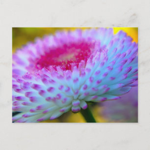 Cartão Postal Bloom Flower