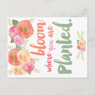 Cartão Postal Bloom onde você está plantado
