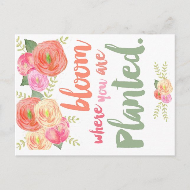 Cartão Postal Bloom onde você está plantado (Frente)