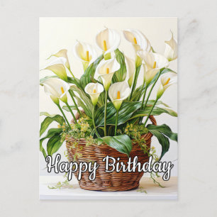 Cartão Postal Blooming Calla Lily Flowers