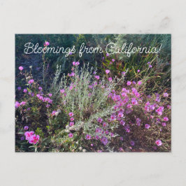Cartão Postal Bloomings da Califórnia: Adeus à Primavera!