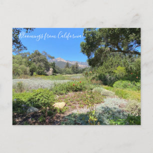 Cartão Postal Bloomings da Califórnia: Columbina Ocidental