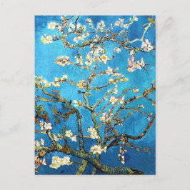 Cartão Postal Blossoming Almond Tree Van Gogh Fine Art