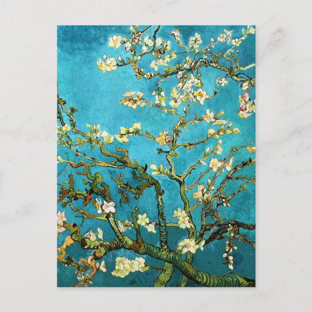 Cartão Postal Blossoming Almond Tree Van Gogh Fine Art (Frente)