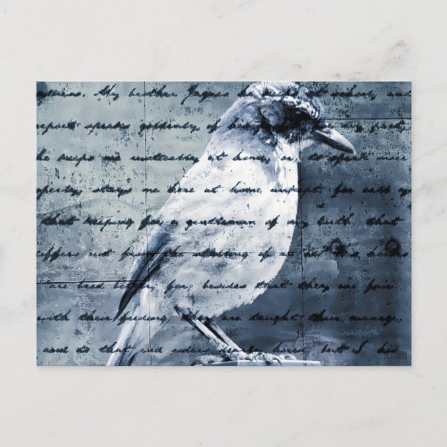 Cartão Postal Blue Bird Song (Frente)
