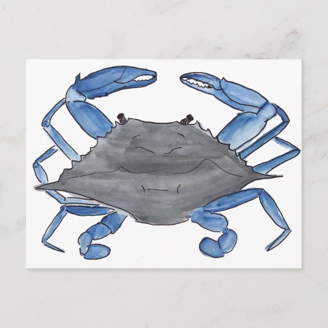 Cartão Postal Blue Crab Postcard (Frente)