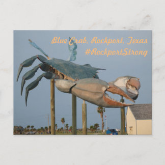Cartão Postal Blue Crab - Rockport, Texas