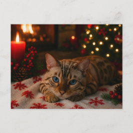 Cartão Postal Blue-Eyed Christmas Cat Postcard Cozy Fireplace