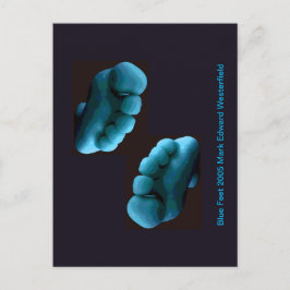 Cartão Postal Blue Feet 2005 Mark Edward Westerfield