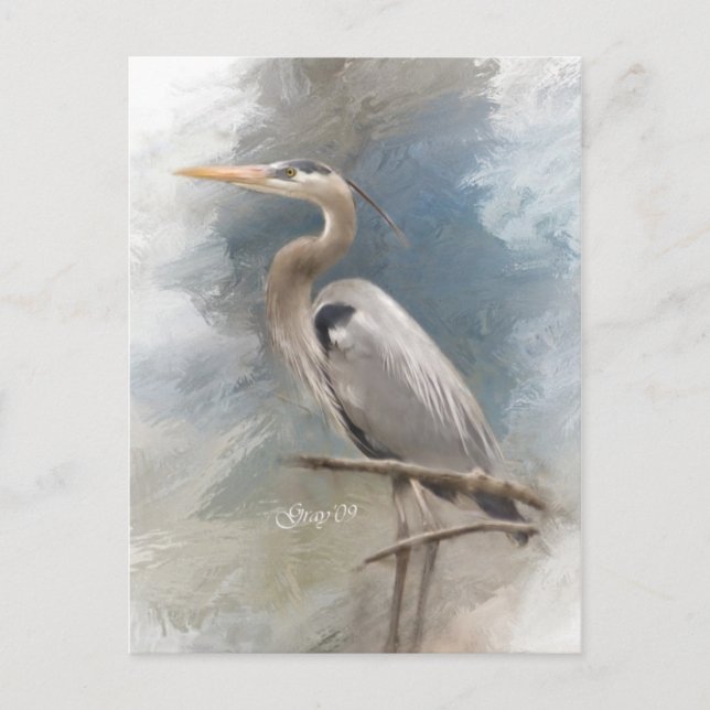 Cartão Postal Blue Heron (Frente)