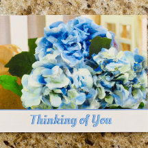 Blue Hydrangeas | Cartão-postal Pensando em você