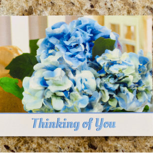 Cartão Postal Blue Hydrangeas   Cartão-postal Pensando em você