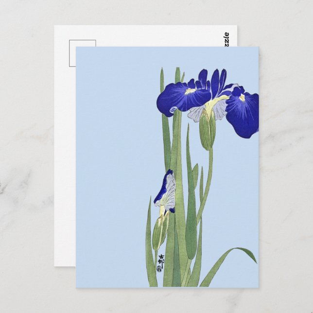Cartão Postal Blue Irises de Ohara Koson (Frente/Verso)