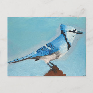 Cartão postal Blue Jay