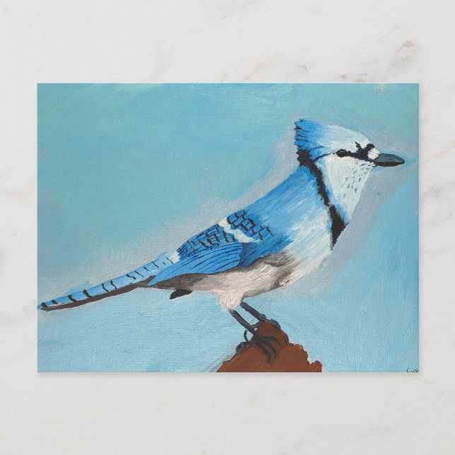 Cartão postal Blue Jay (Frente)