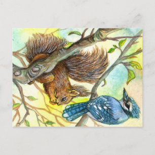 Cartão Postal Blue Jay E Squirrel