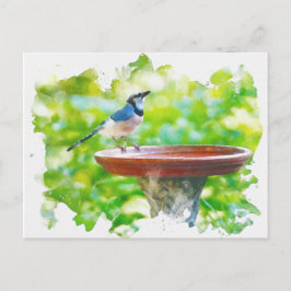 Cartão Postal Blue Jay na aquarela do banho de pássaros