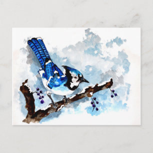 Cartão Postal Blue Jay Winter