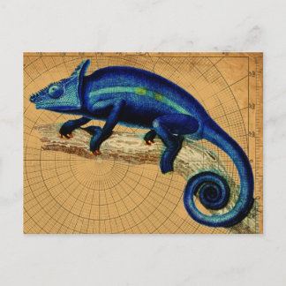Cartão Postal Blue Lizard