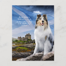 Cartão Postal Blue Merle Collie, Eilean Donan & Scottish Flag -