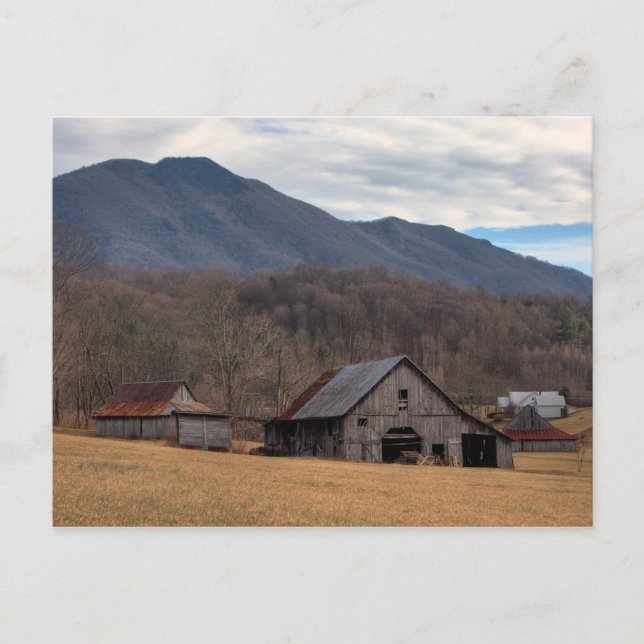 Cartão Postal Blue Ridge Mountain Barn (Frente)
