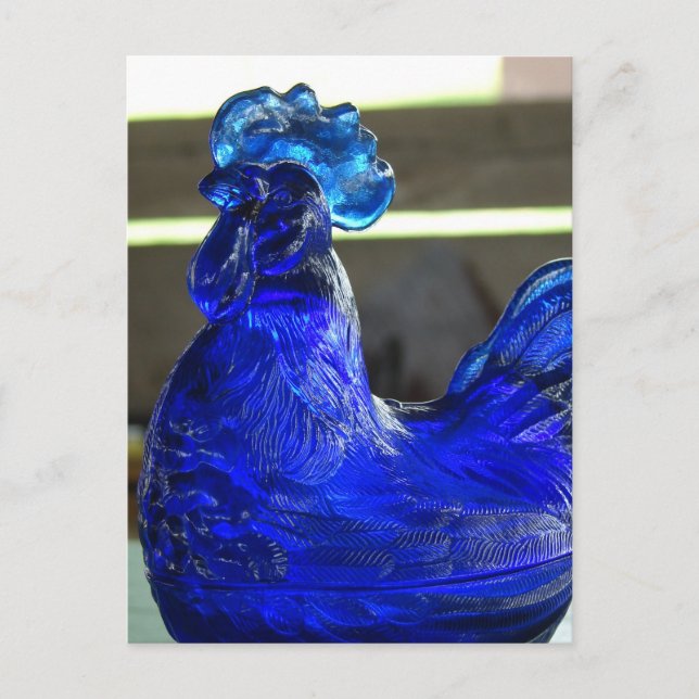 Cartão Postal Blue Roo (Frente)