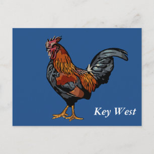 Cartão Postal Blue Rooster Key West Post Card