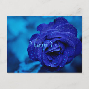 Cartão Postal Blue Rose Obrigado