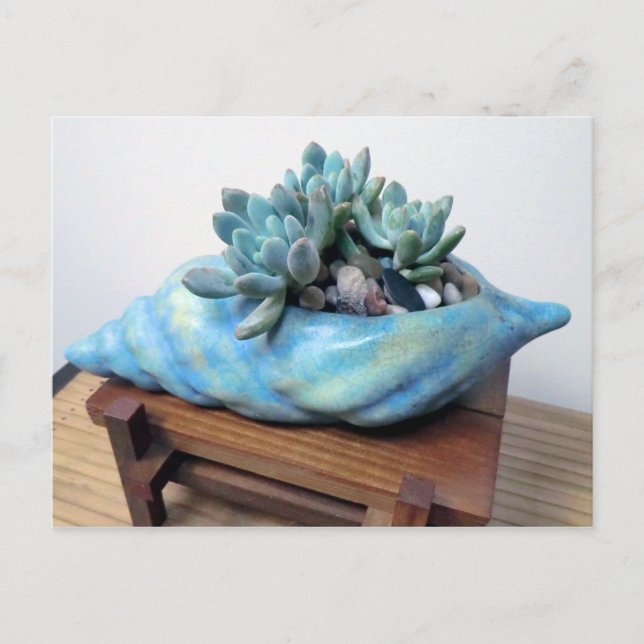 Cartão Postal Blue Succulent in Seashell by Succulent Designs (Frente)