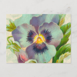 Cartão Postal Blue Vintage Pansy Watercolor